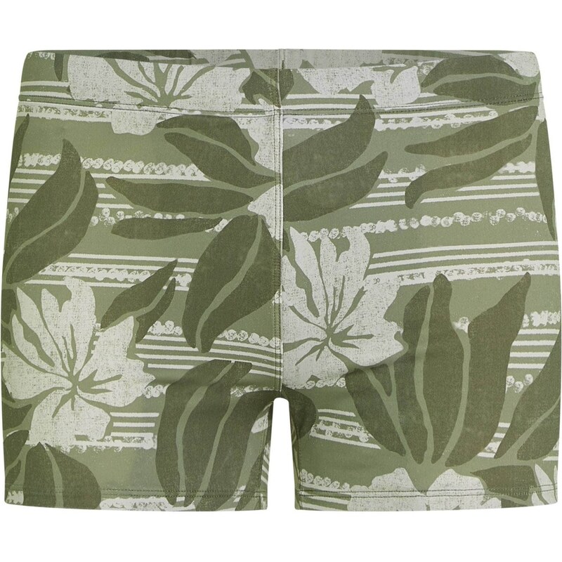 ONEILL Plavky Essentials Racer zelená 104412040