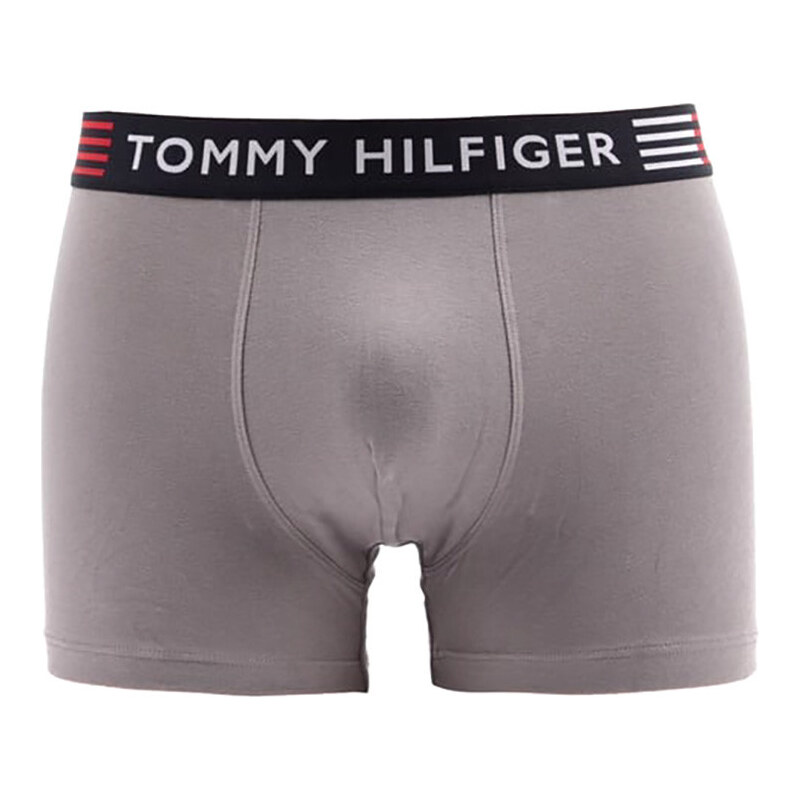 Flex Trunk UM0UM02411-PTM - Tommy Hilfiger