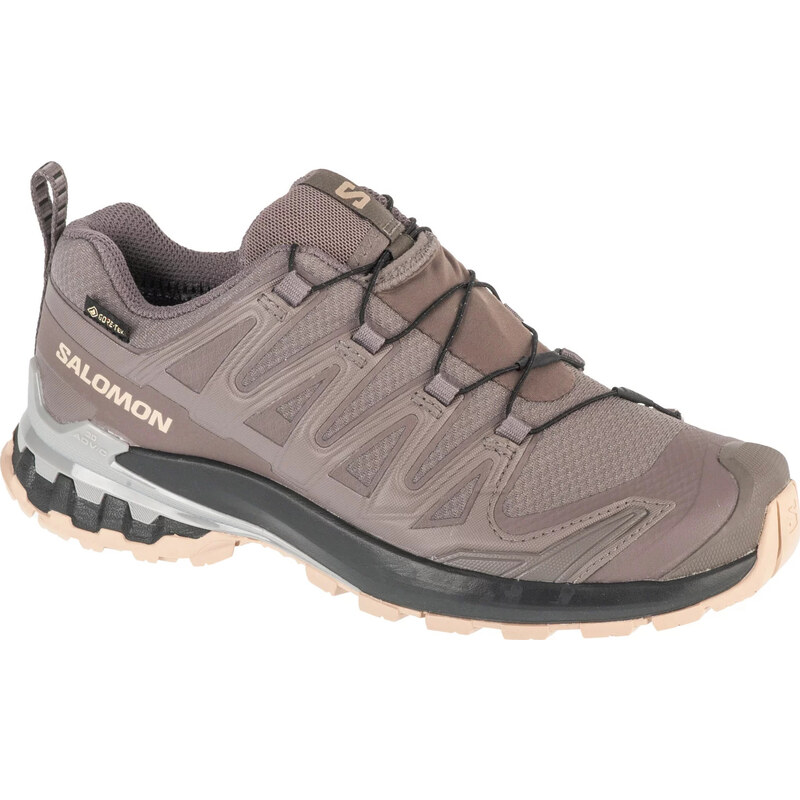 Tmavě šedé dámské běžecké boty Salomon Salomon XA Pro 3D v9 GTX W Šedá 104136796
