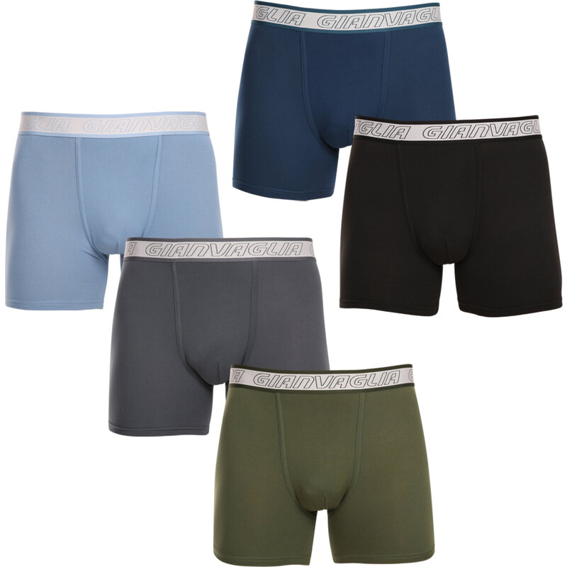 5PACK pánské boxerky Gianvaglia vícebarevné (GVG-5013) 87186109