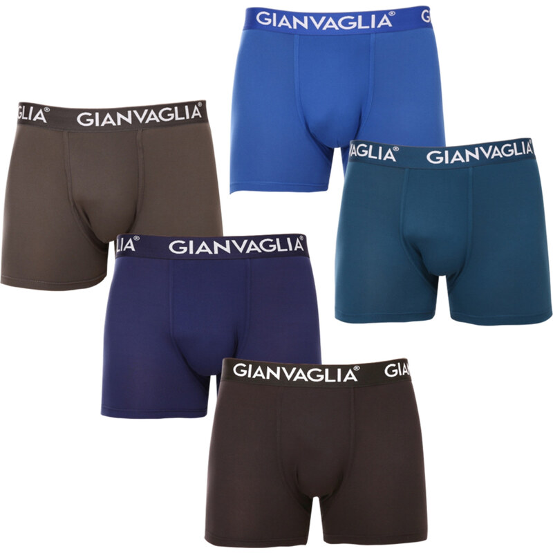 5PACK pánské boxerky Gianvaglia vícebarevné (GVG-5007) 80392154