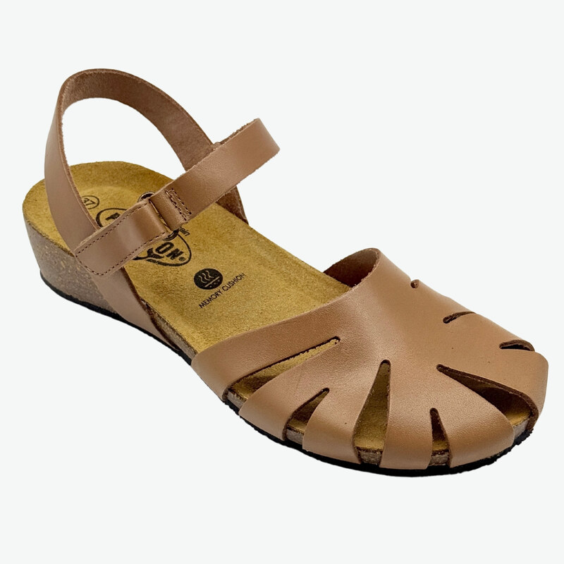 775929 Taupe Plakton 37