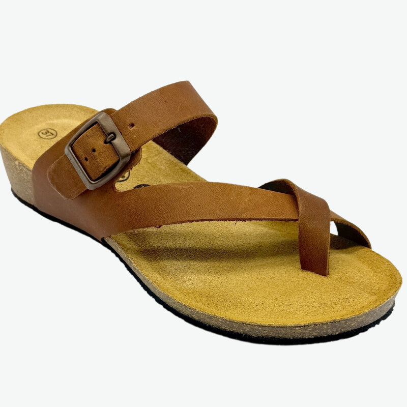 775985 Roble Plakton 37