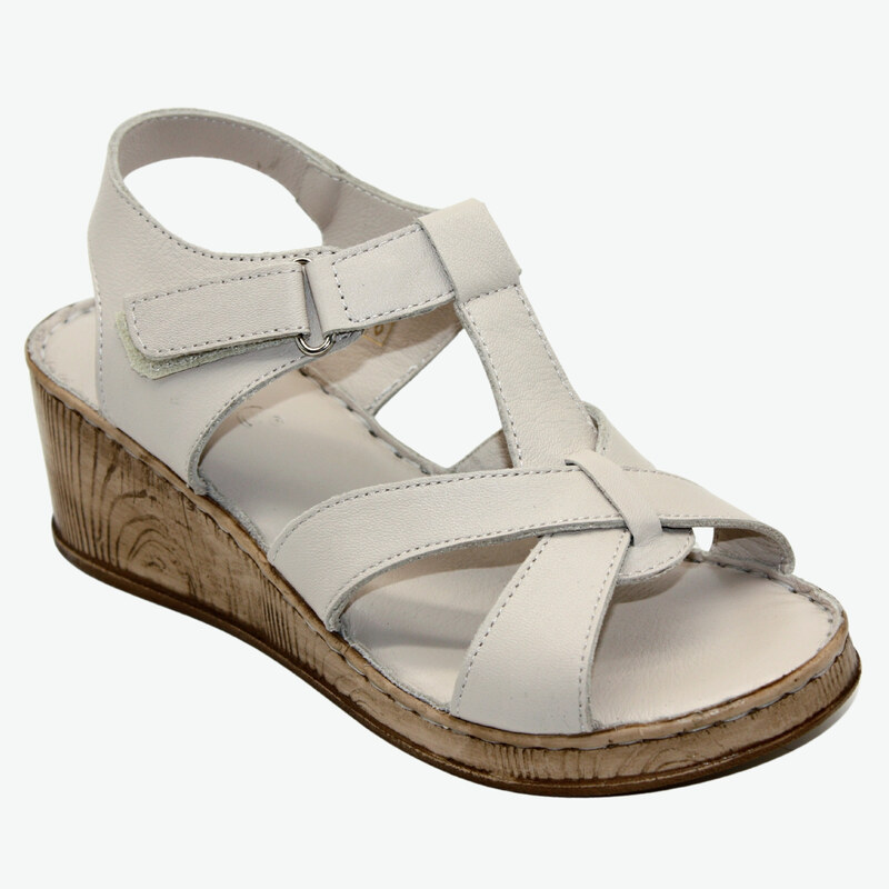 L1146-64 LOOKE 40