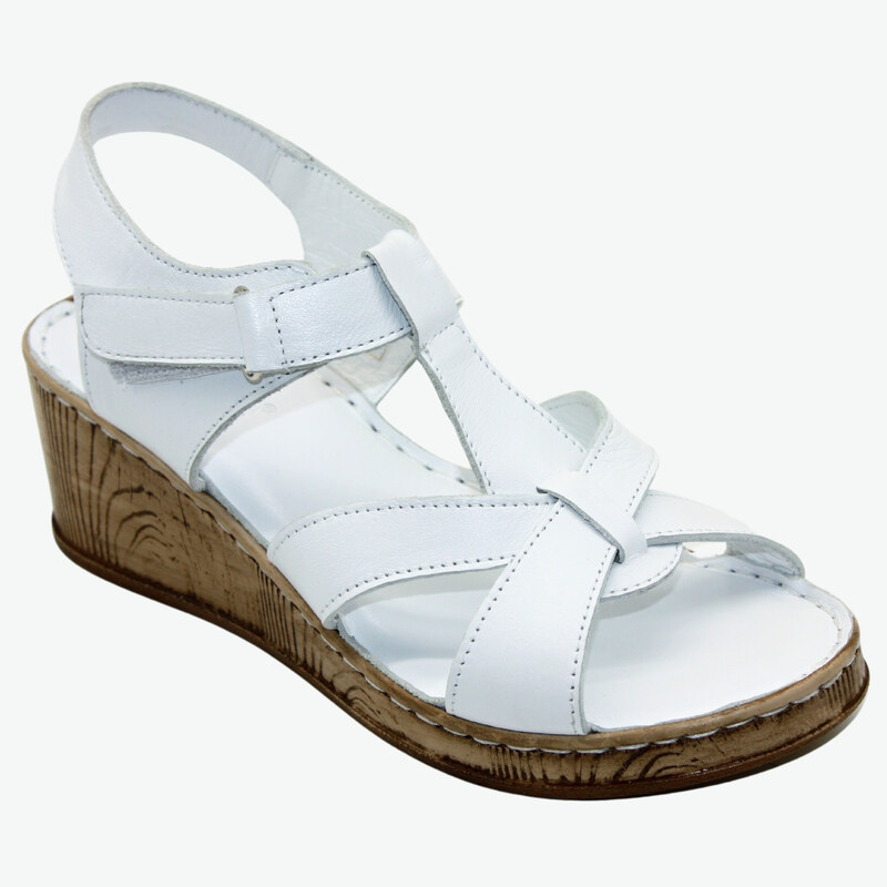 L1146-03 LOOKE 40