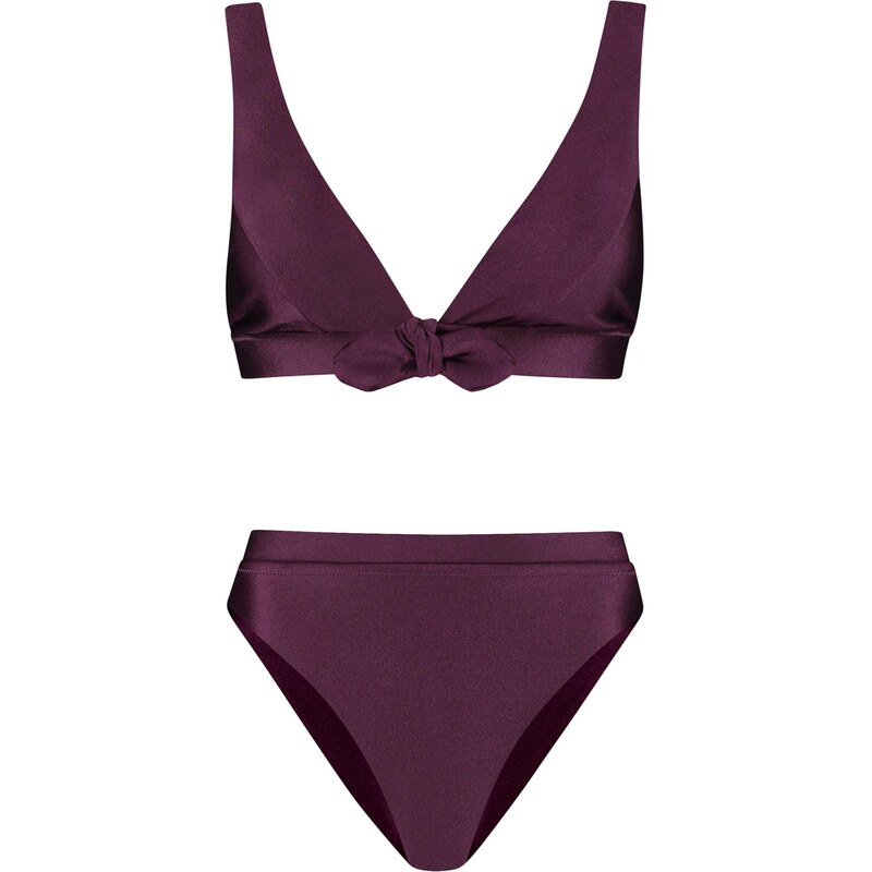 Shiwi Bikiny fialová 108762654
