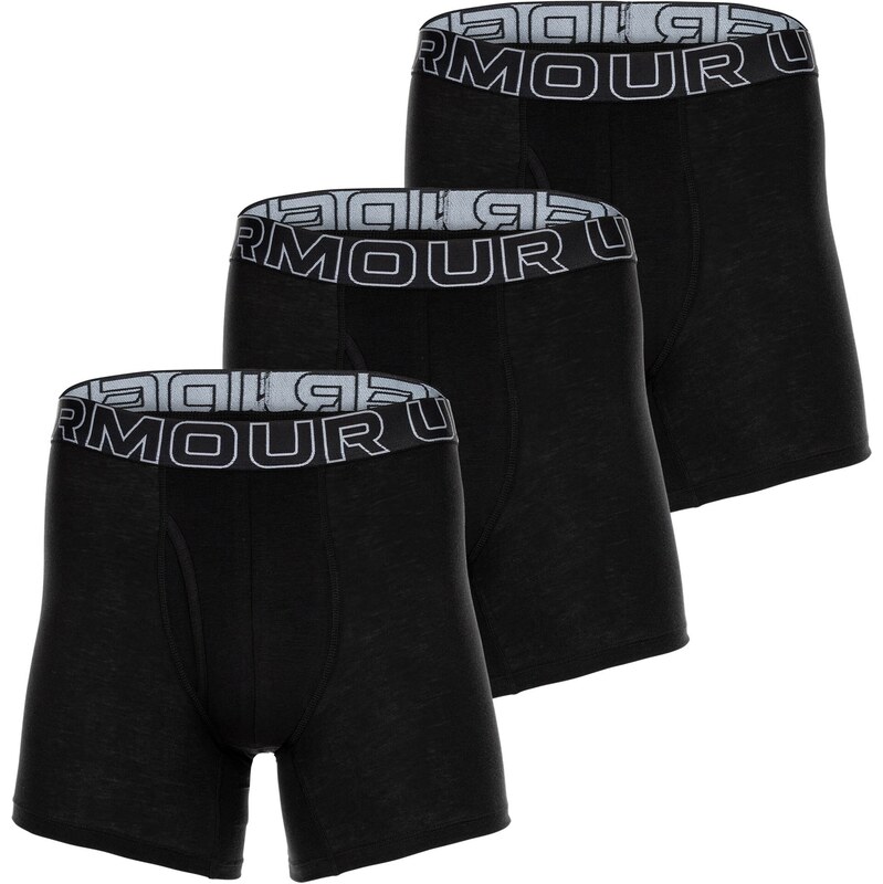 UNDER ARMOUR Boxerky šedá / černá