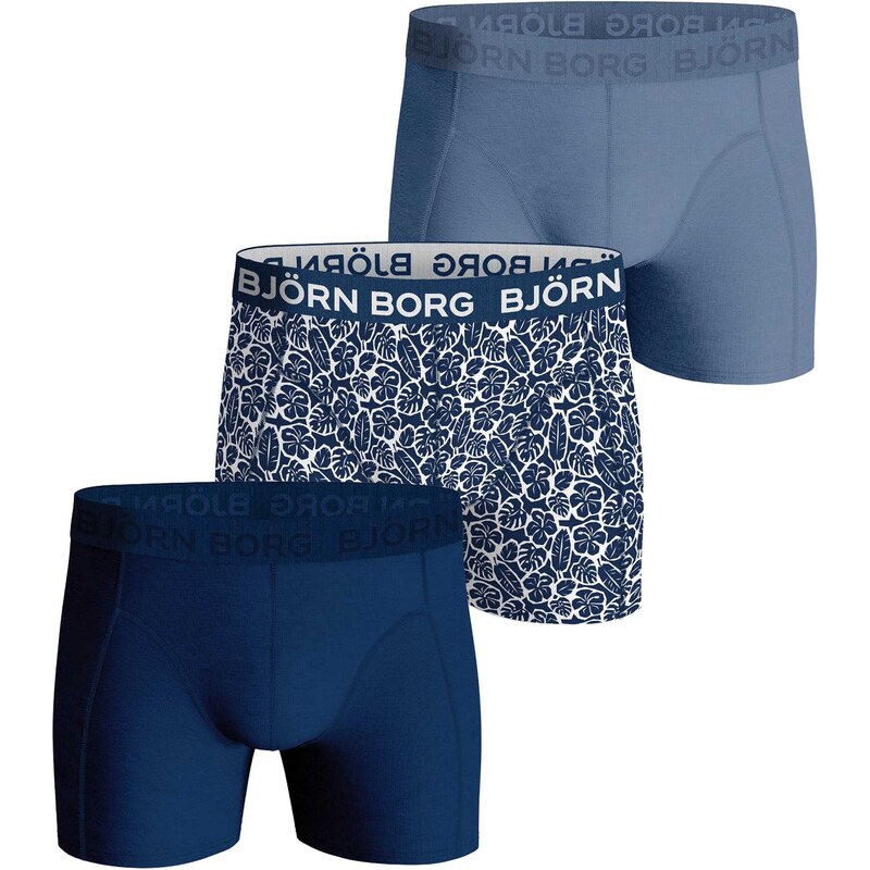 BJÖRN BORG Sportovní spodní prádlo modrá / marine modrá /