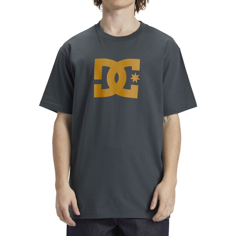 DC Shoes Tričko DC Star Hss Stormy Weather