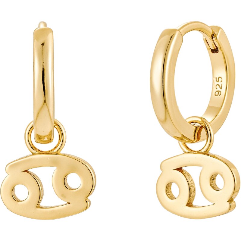 Olivie Stříbrné náušnice RAK GOLD 9590