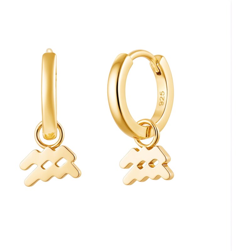 Olivie Stříbrné náušnice VODNÁŘ GOLD 9597