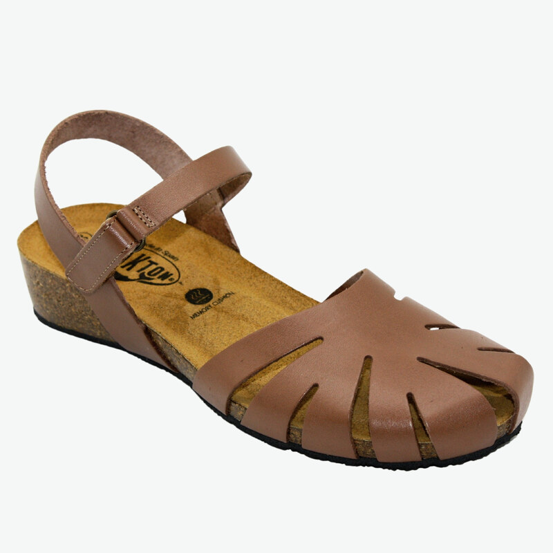 775929 Camel Plakton 36