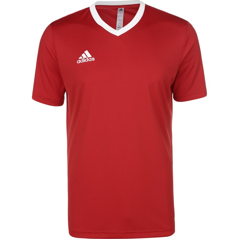 ADIDAS PERFORMANCE Funkční tričko Entrada 22 červená / bílá