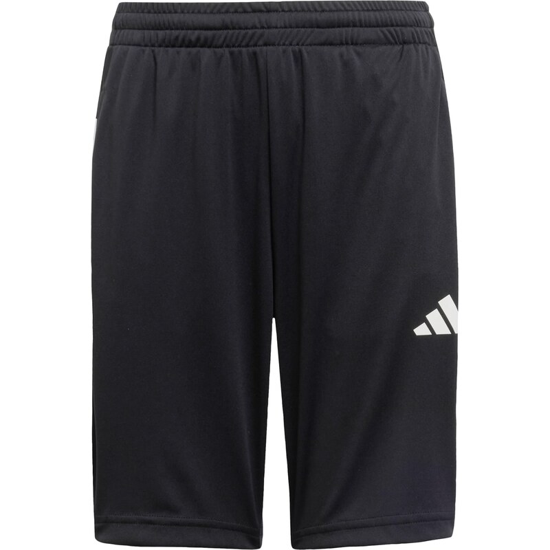 ADIDAS SPORTSWEAR Sportovní kalhoty Essentials černá / bílá