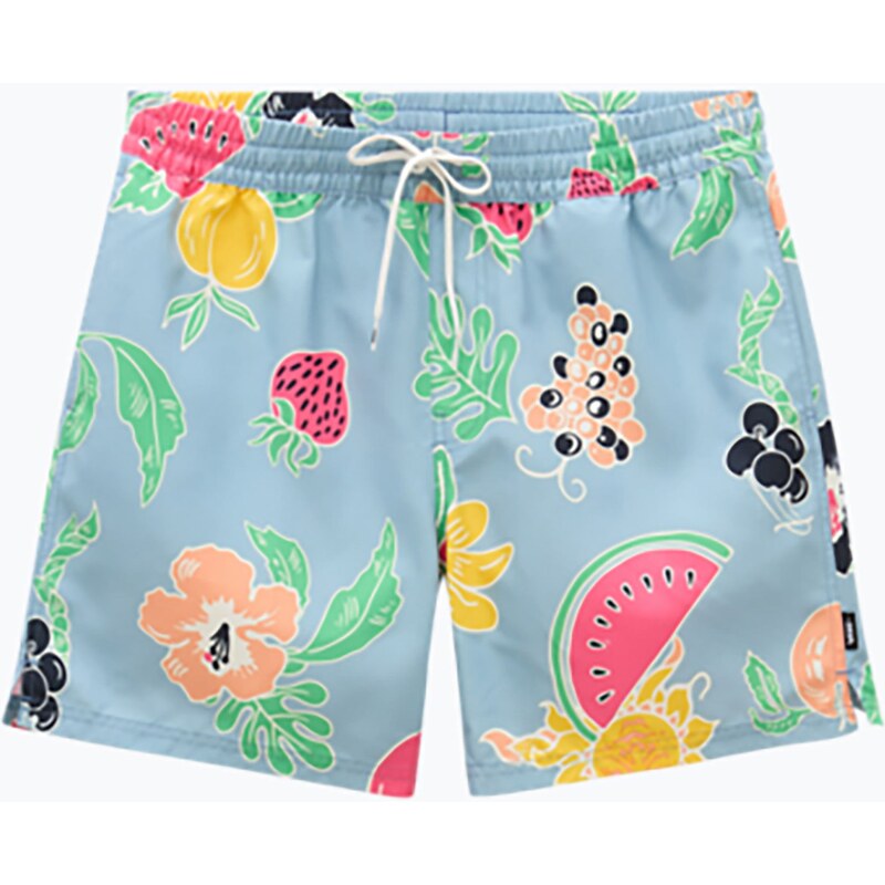 Pánské kraťasy Vans Primary Print Elastic Boardshort