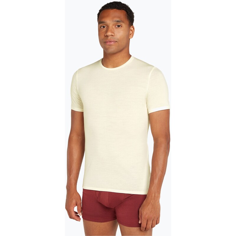 Pánské trekingové tričko Icebreaker Anatomica Crewe undyed