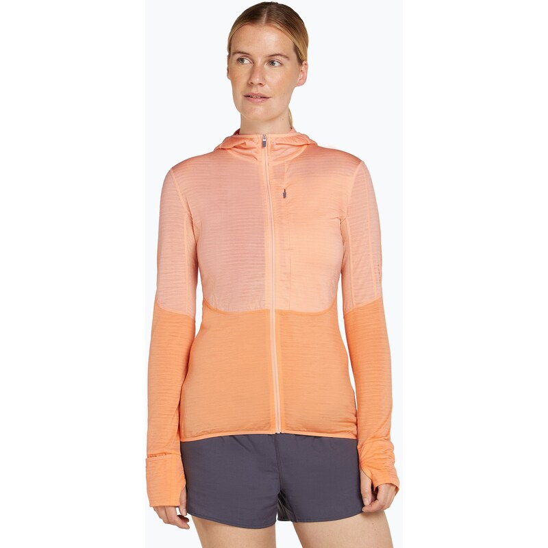 Dámská trekingová mikina icebreaker Merino 200 Realfleece