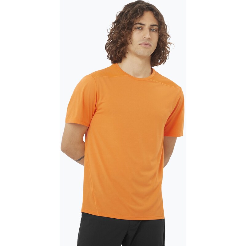 Pánské tričko Salomon Outline Tee turmeric