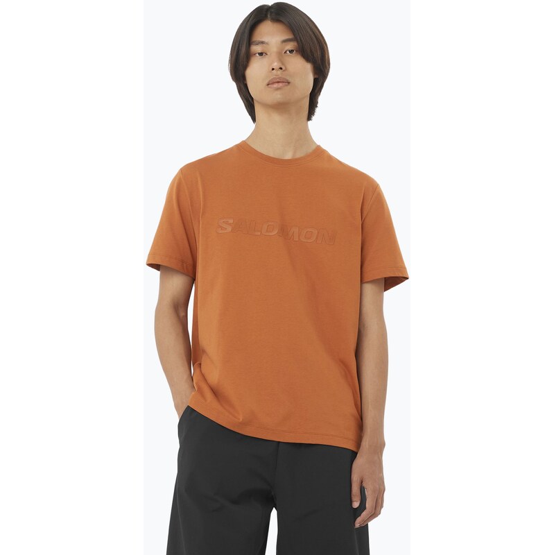 Pánské tričko Salomon Big Logo Tee sierra