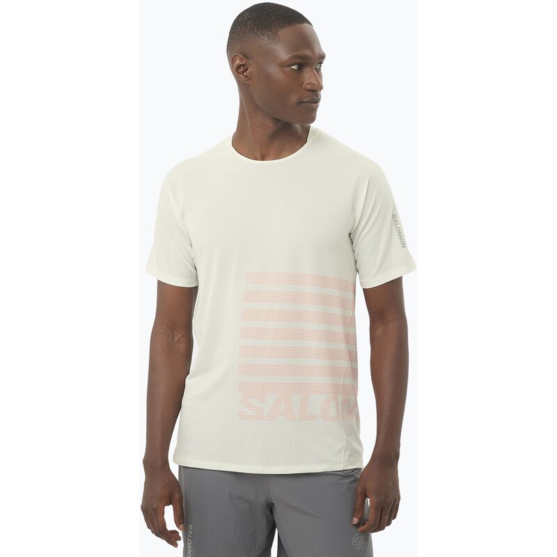 Pánské běžecké tričko Salomon Sense Aero Tee GFX icicle/neon