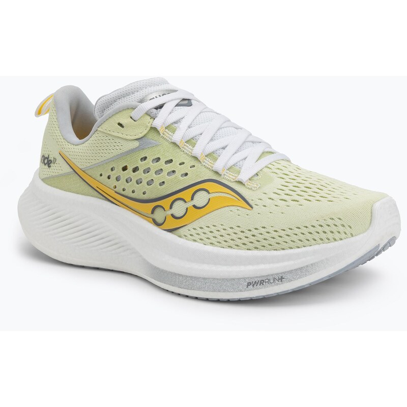 Dámské běžecké boty Saucony Ride 17 fern/cloud