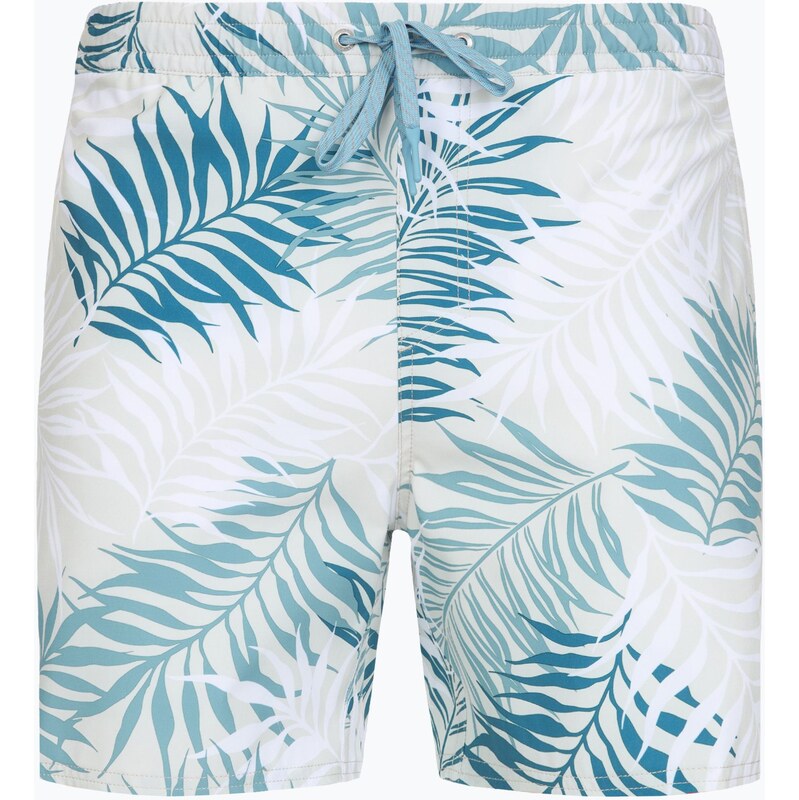 Pánské plavecké šortky Quiksilver Wild Fern Volley 17