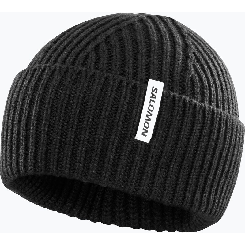 Zimní čepice Salomon Snowbird deep black