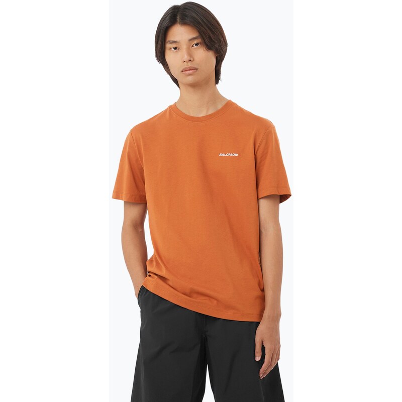 Pánské tričko Salomon Logo Tee sierra