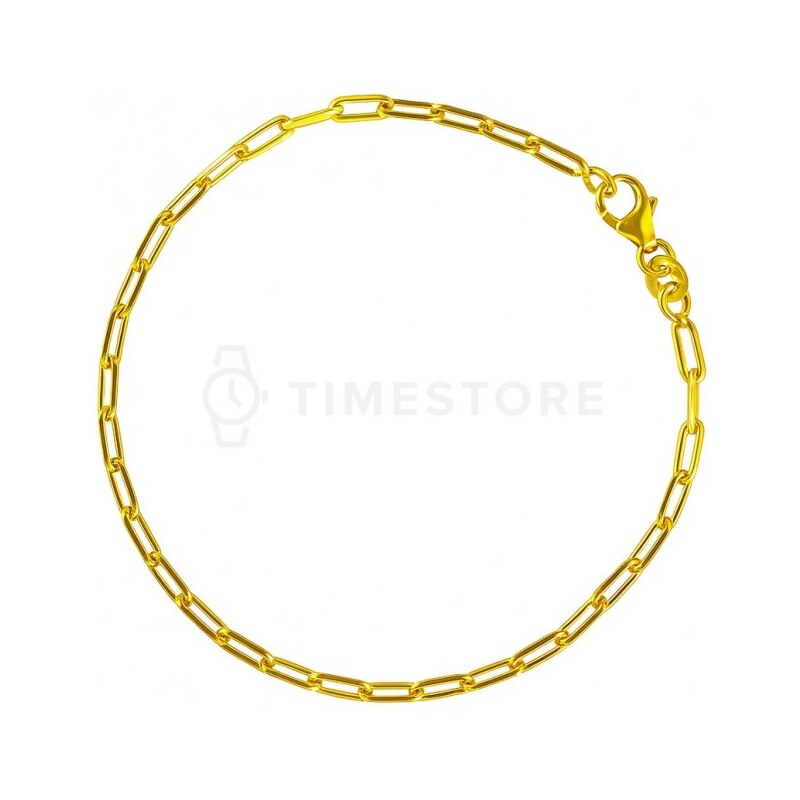 Stříbrný řetízek ve zlaté barvě TS-CN-0033 TS-CN-0033 107792898