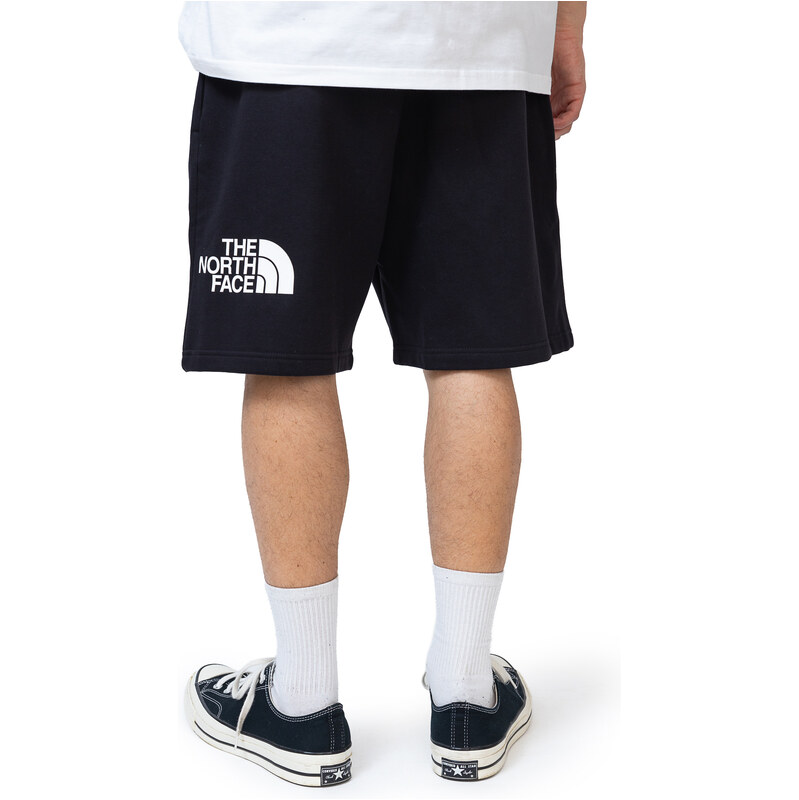 Kraťasy The North Face Easy Regular