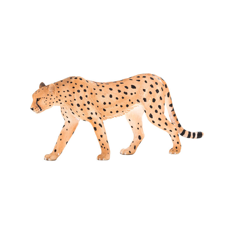 Animal Planet Gepard
