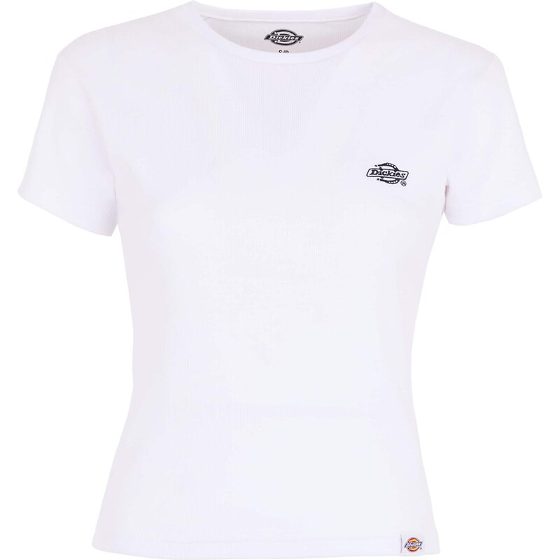 DICKIES Tričko 'Gladeville' černá / bílá