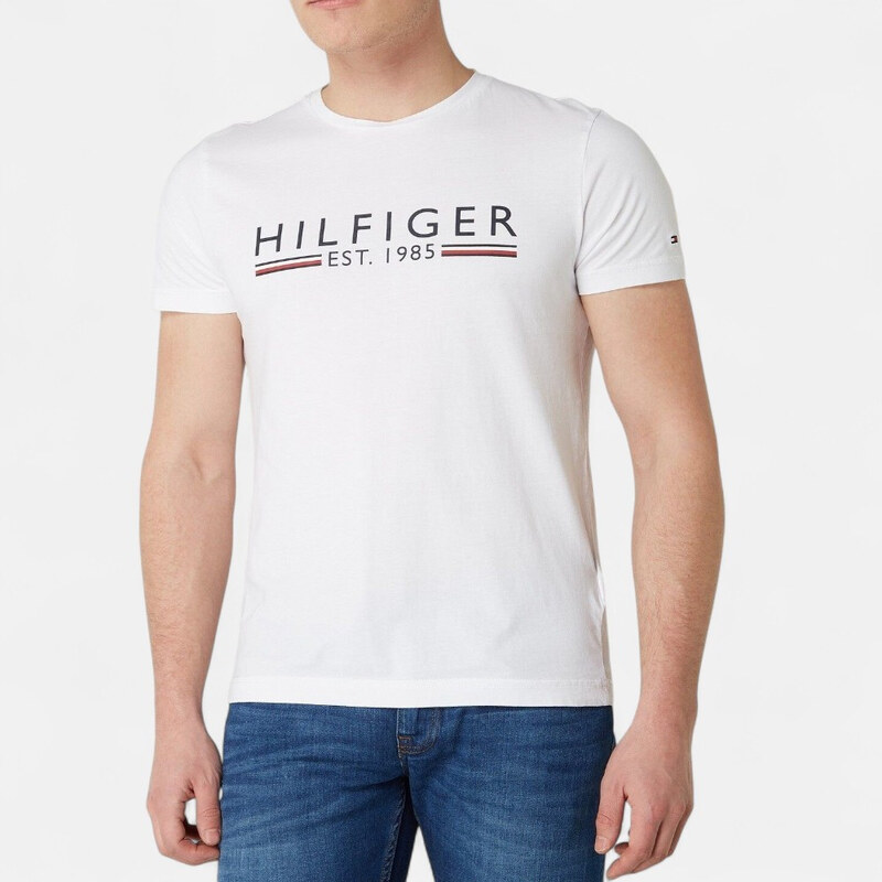 Pánské triko Tommy Hilfiger M56384