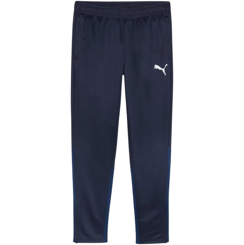 Puma Team Goal Training M kalhoty 658639 06