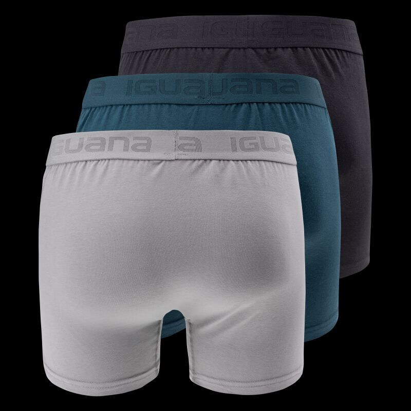 Pánské boxerky model 21352721 3PACK - Iguana