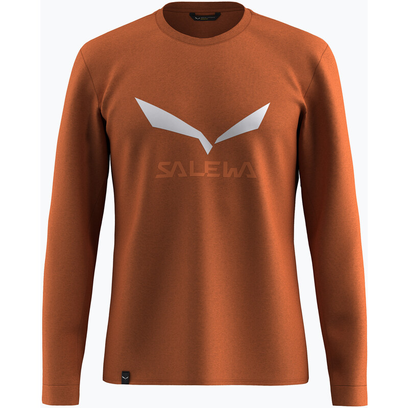 Pánské tričko Longsleeve Salewa Solidlogo Dry bombay brown