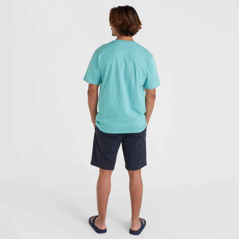 ONeill ONeill Essentials Chino Shorts M 92800613369 108489873