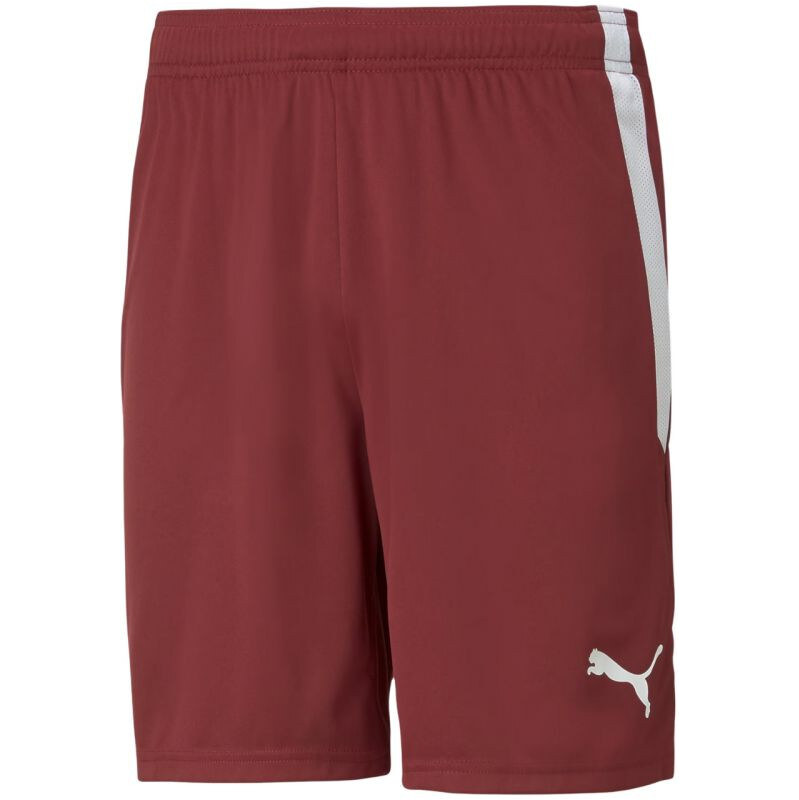 Puma teamLIGA M 704924 09 šortky