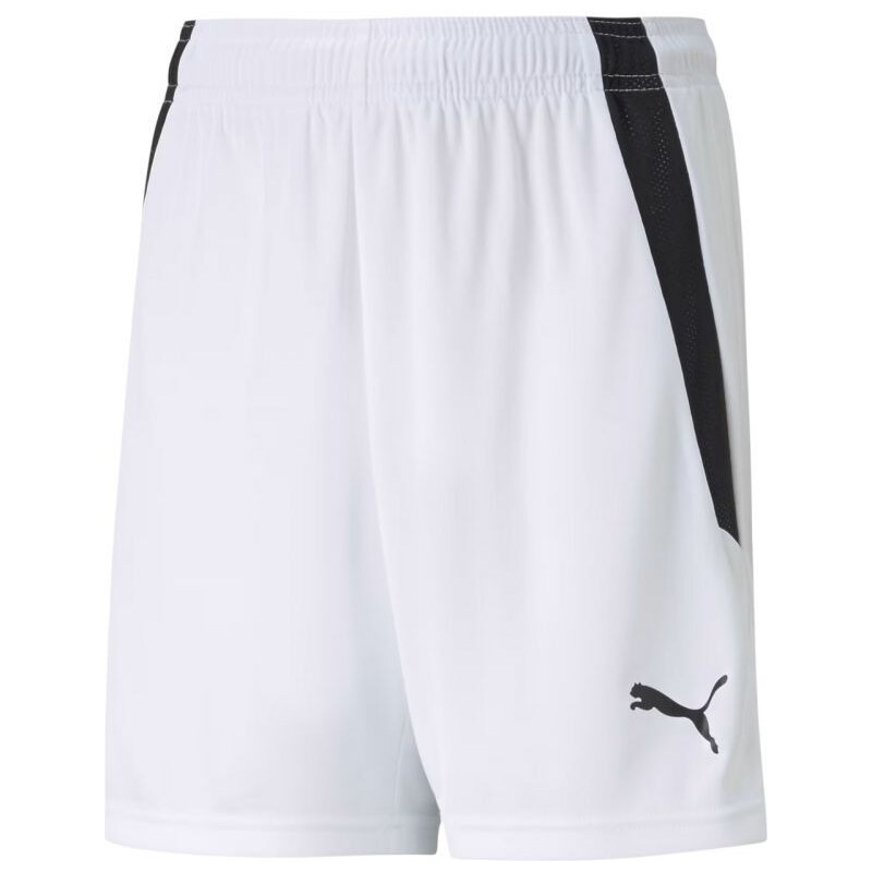Puma teamLIGA Shorts Jr 704931 04