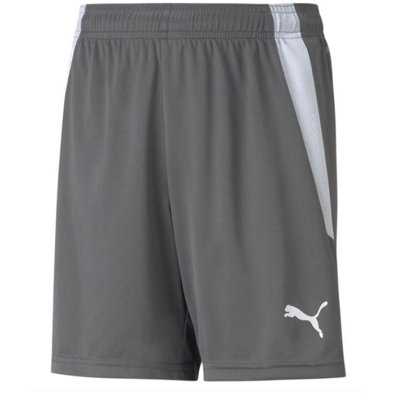 Puma teamLIGA Shorts Jr 704931 13