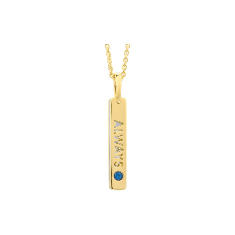 NÁHRDELNÍK SECRECY WOMEN P7162CDAWWC03 (42CM ) 108688937