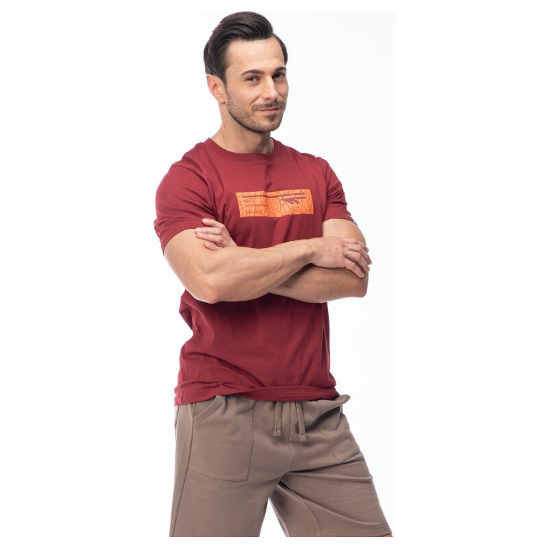 Pánské tričko s krátkým rukávem model 21357188 - Hi-Tec