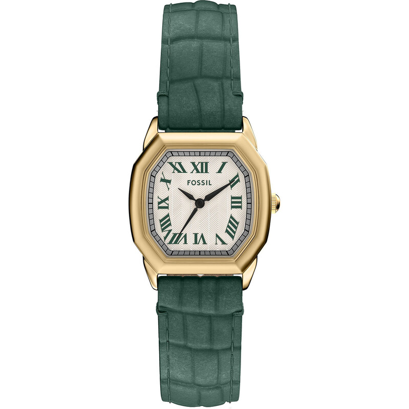 Hodinky Fossil 108900927