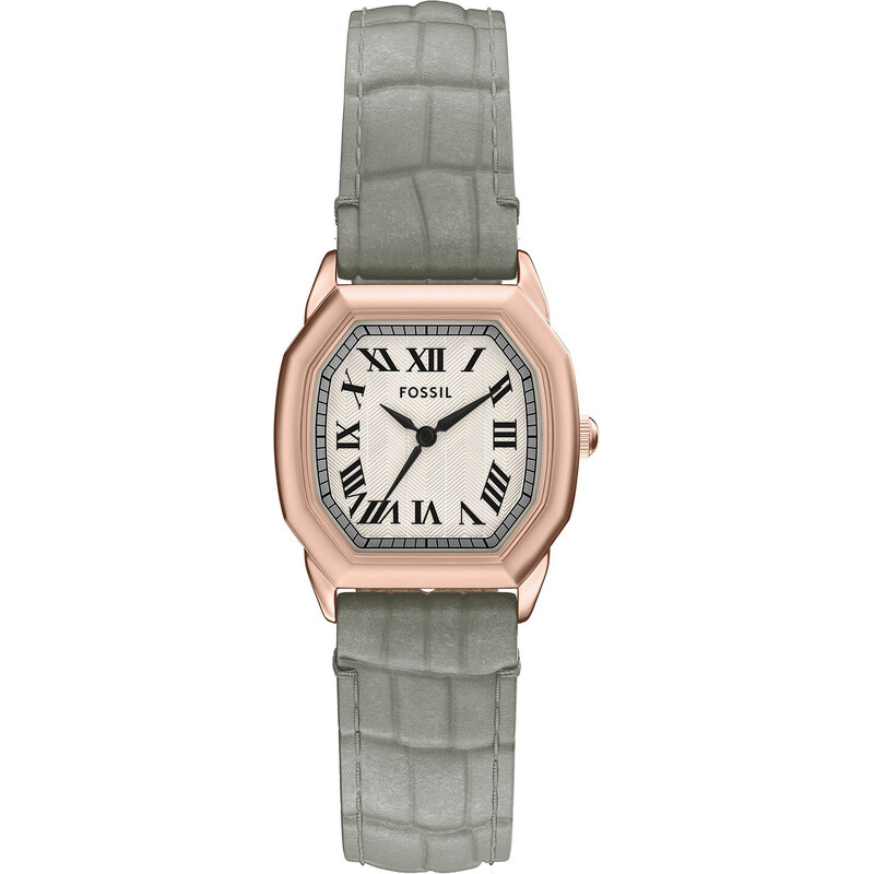 Hodinky Fossil 108900937