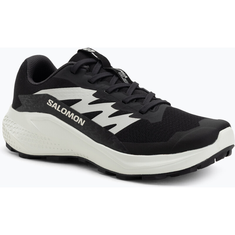 Dámské běžecké boty Salomon Alphaglide black/phantom/icicle
