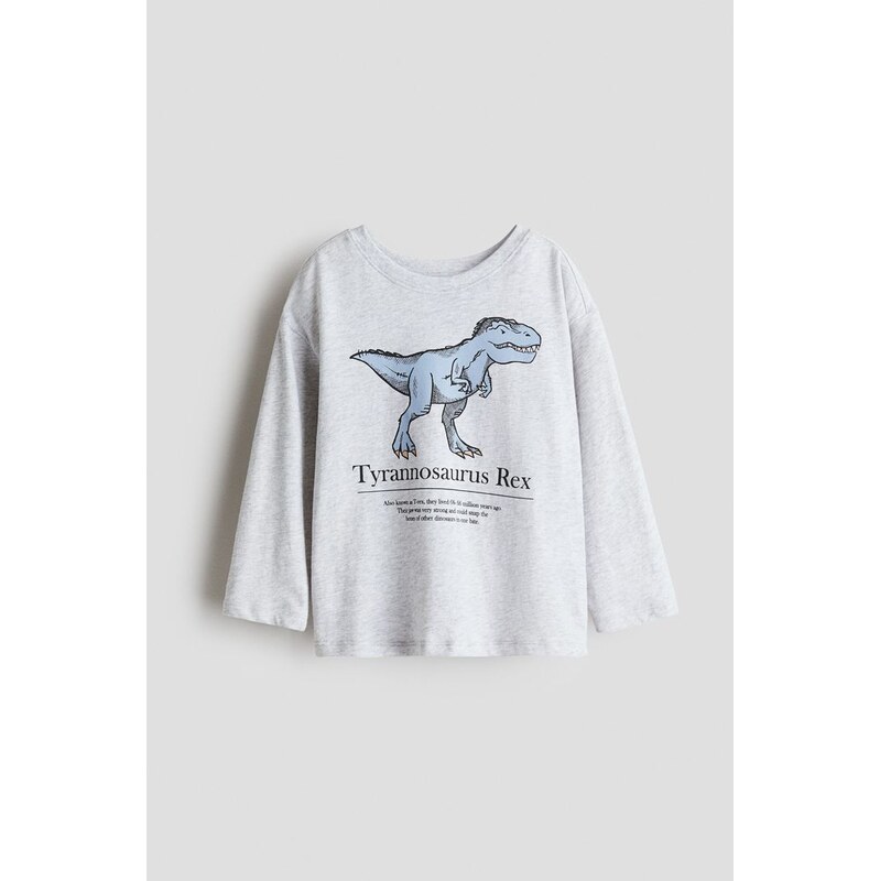 H&M - Bavlněné tričkos motivem - Světle Šedý Melír/Dinosaurus