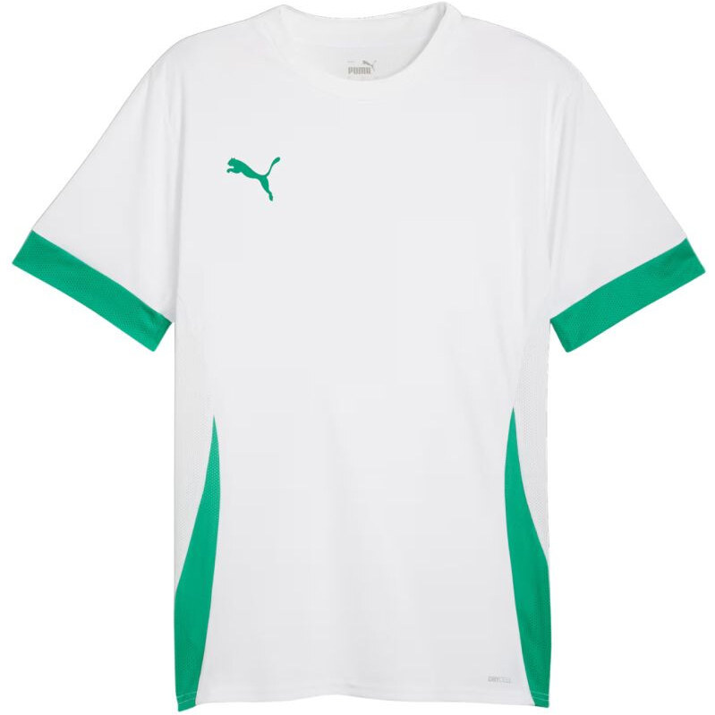 Pánský dres Puma teamGoal Matchday Jersey white and green 705747