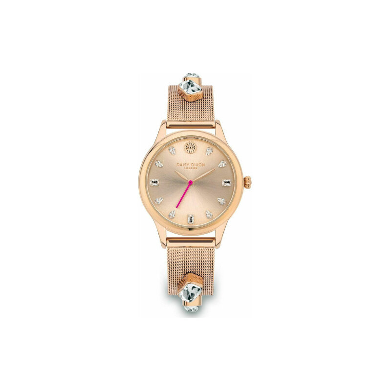 HODINKY DAISY DIXON WOMEN DD105RGM (35MM) 108697958