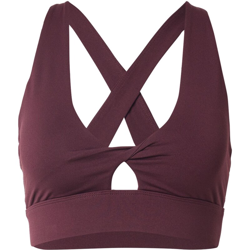 Fabletics Sportovní podprsenka šedá / burgundská červeň