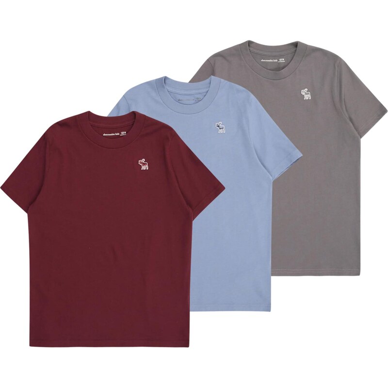 Abercrombie & Fitch Tričko světlemodrá / tmavě šedá / červená třešeň / 109112108
